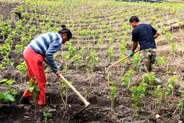 254cff69e2d55cdc2b5ab4f0a0415b34