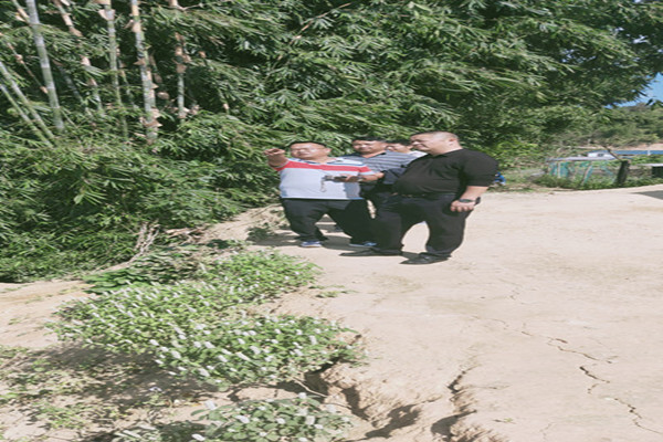 b035f8c5a8968128108e4bded582697_副本