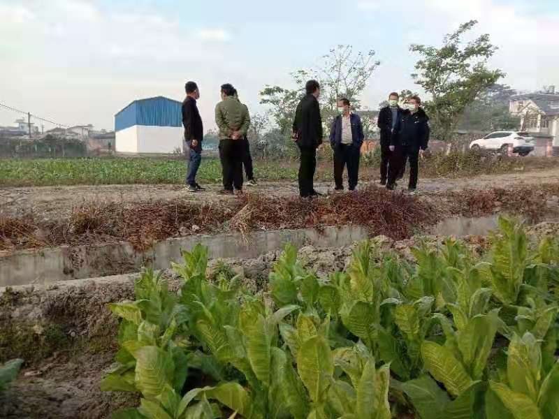 微信图片_20200212162214