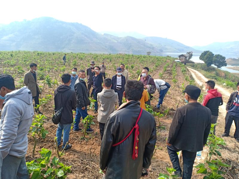 微信图片_20200229143934