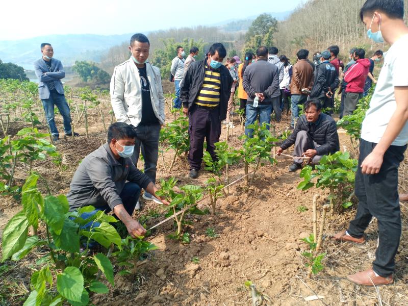 微信图片_20200229143926