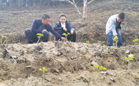 微信图片_20200226153105