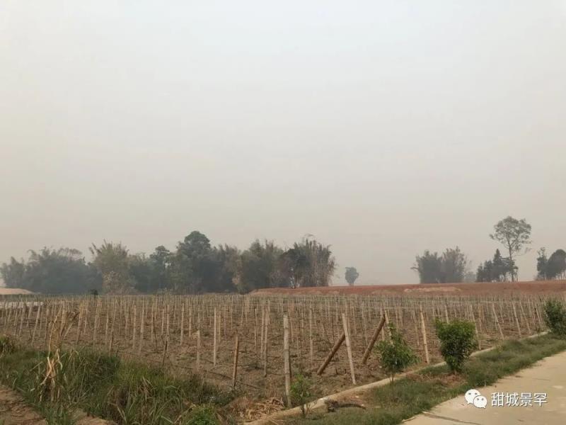 微信图片_20200507102441