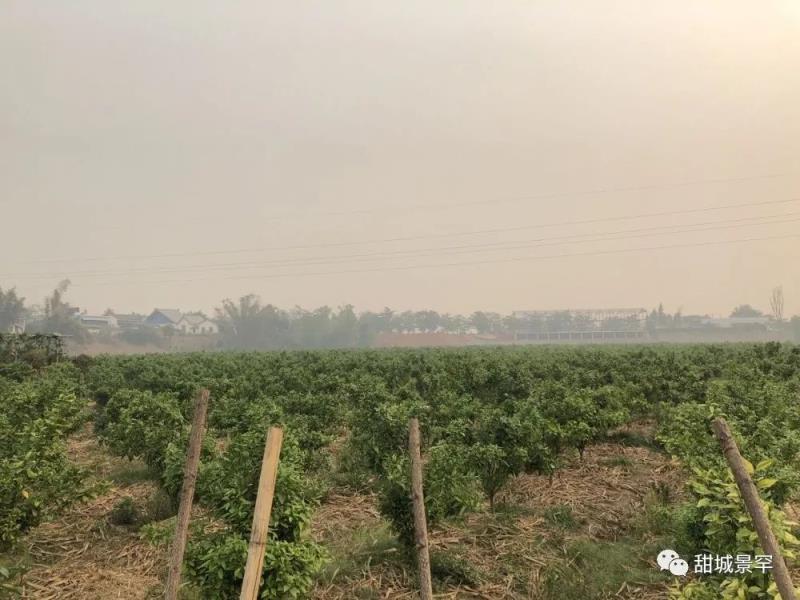 微信图片_20200507102434