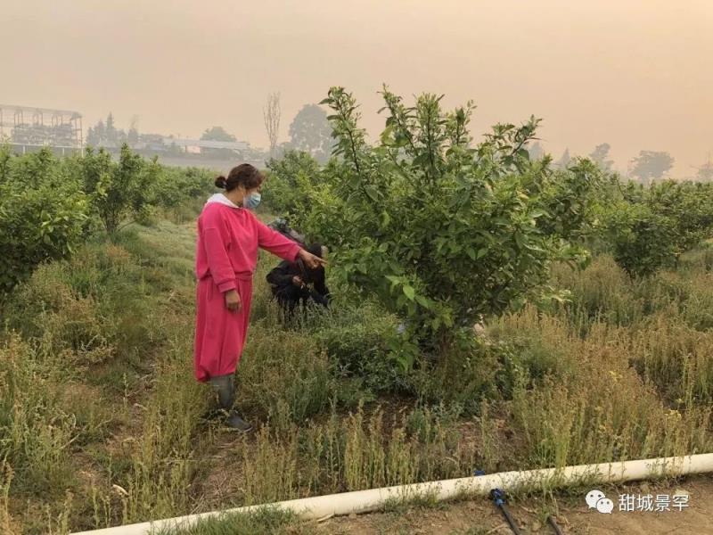 微信图片_20200507102448