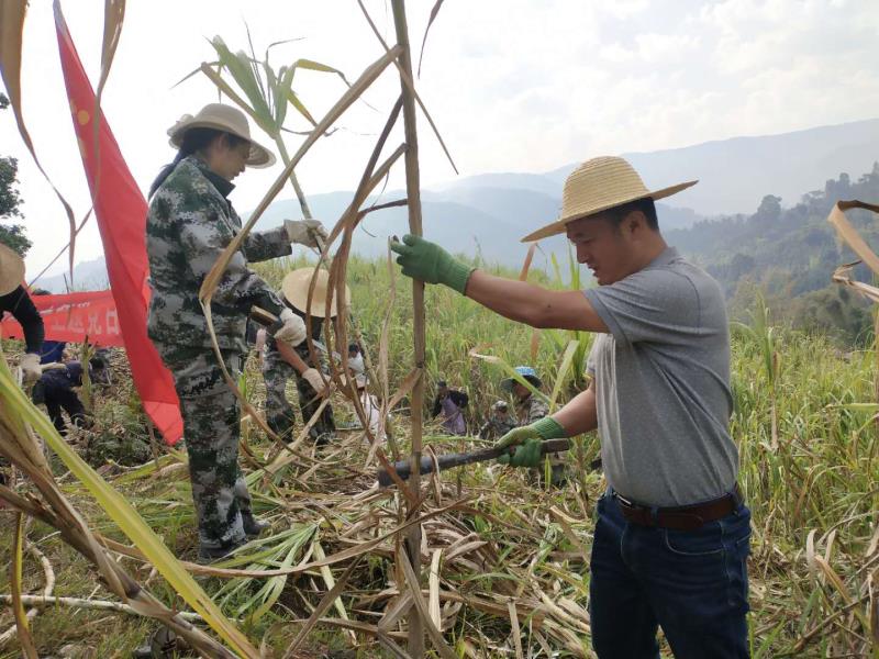 微信图片_20200511110638