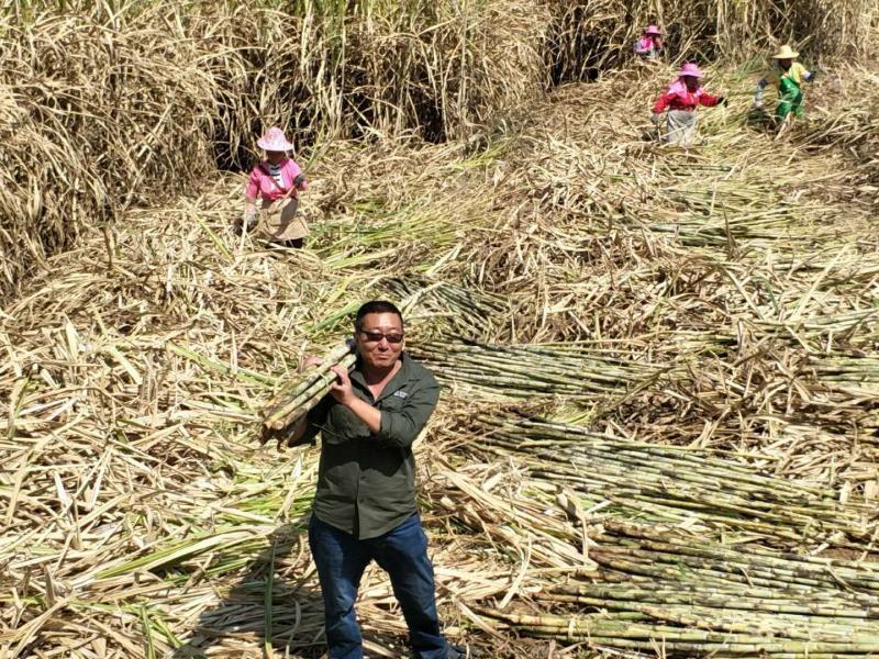 微信图片_20200512111525