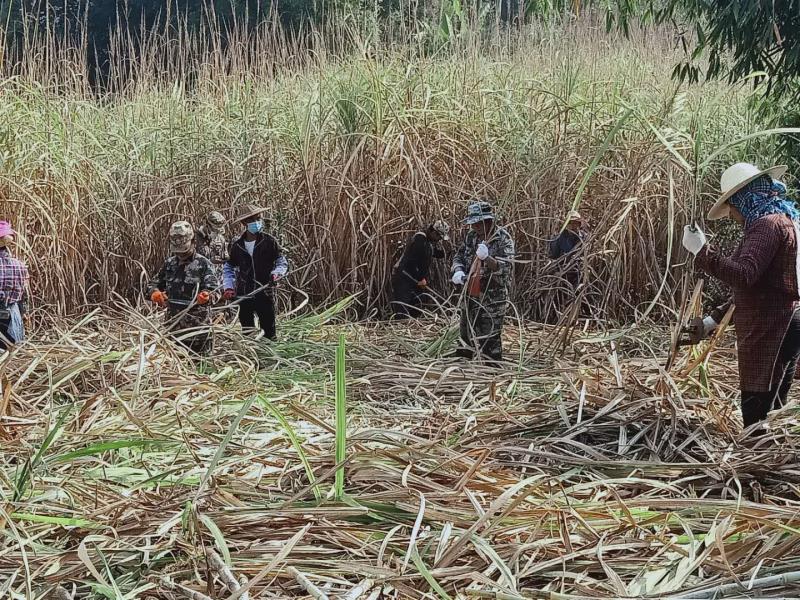 微信图片_20200511110240