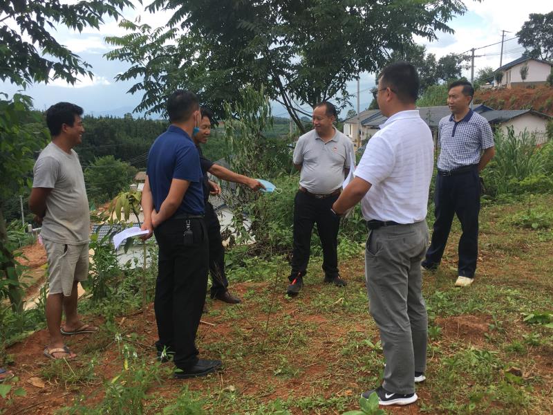 6867eed7f7c5bc4c9039eb9f825a0c2