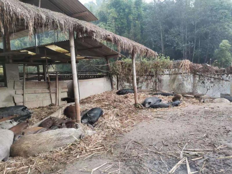 b69c7b5c3c95ff0f69512f3593a588f