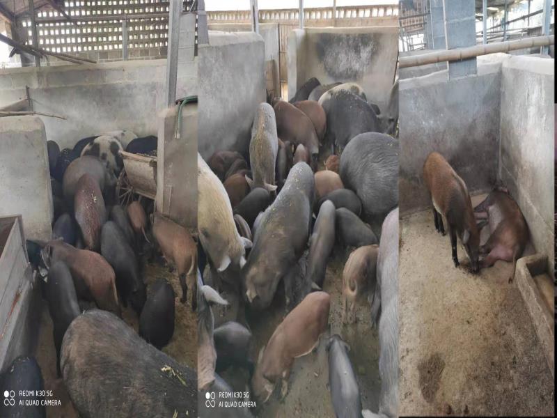 2e543cbcfb864868cad72292d3c9c09