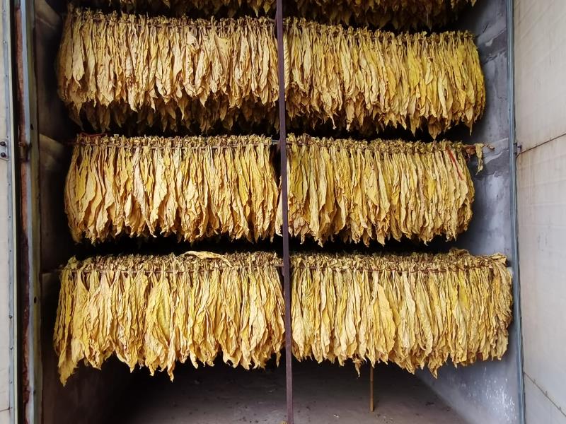 5b698a98b20e216af9c00e012dfd64a