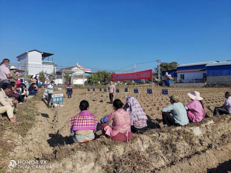 2ba03763f29161ae3ef68c71ef736ce