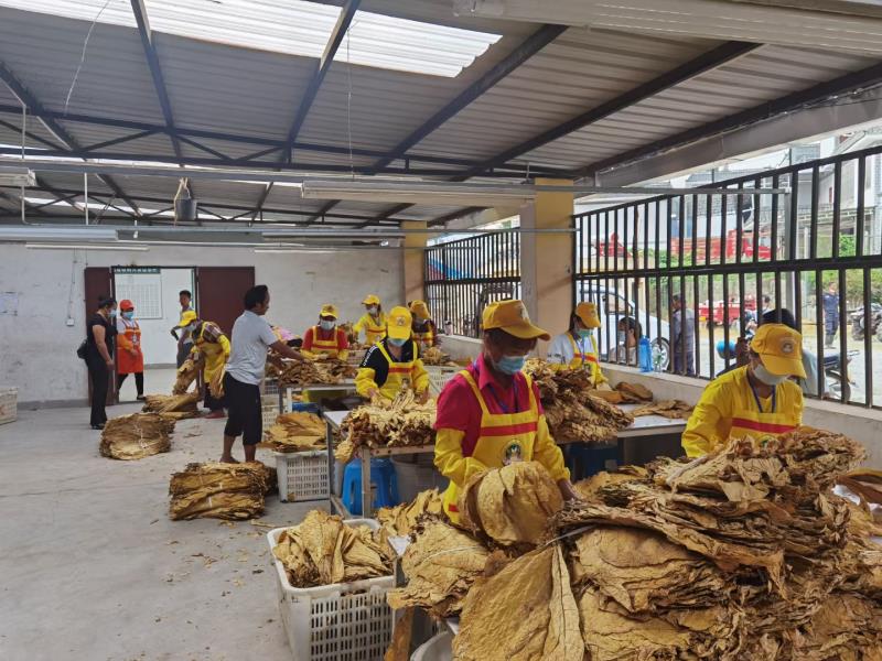 4e5ef63c80a123bddc82872a93369f0