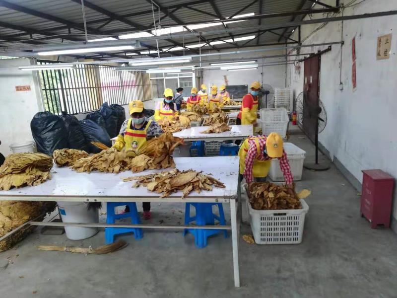 d4ad932d75bdece3901fb74e11af1bd