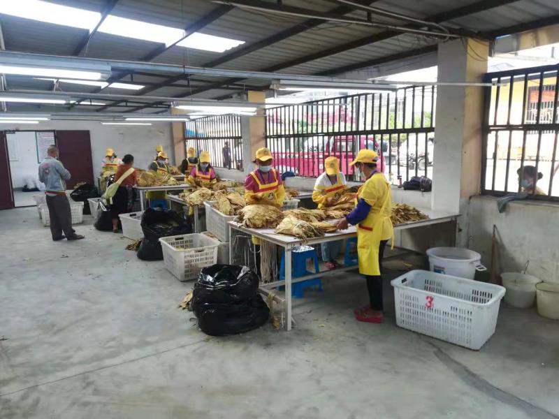 d8f924a420f7e660226ef2e4a620487