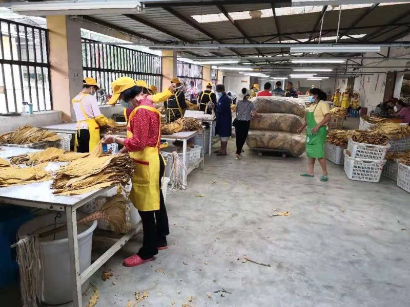 e01c382bd1899af3790f9ef036bf4d8