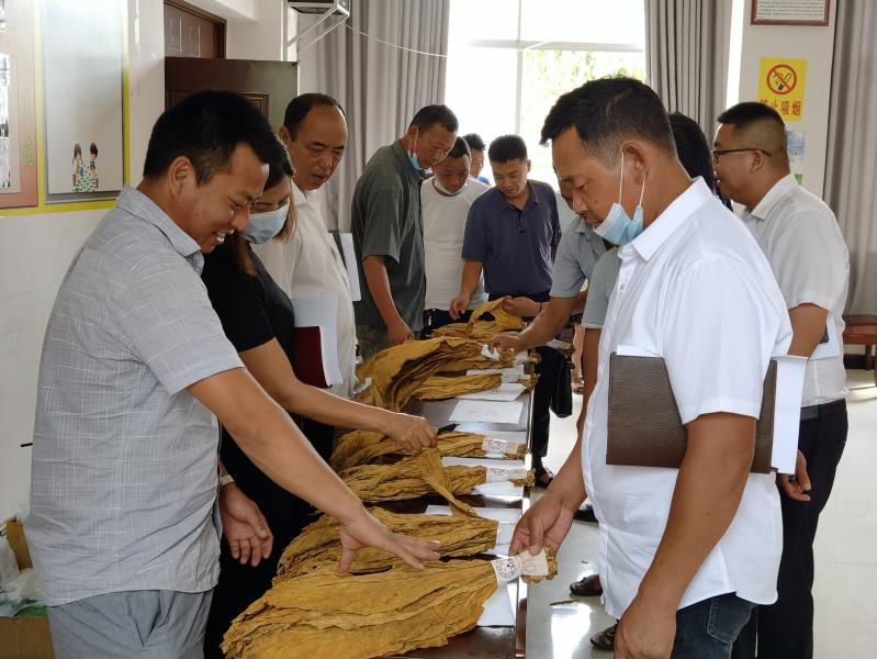 a5704963ffd8e884a16eaa03bc409fc