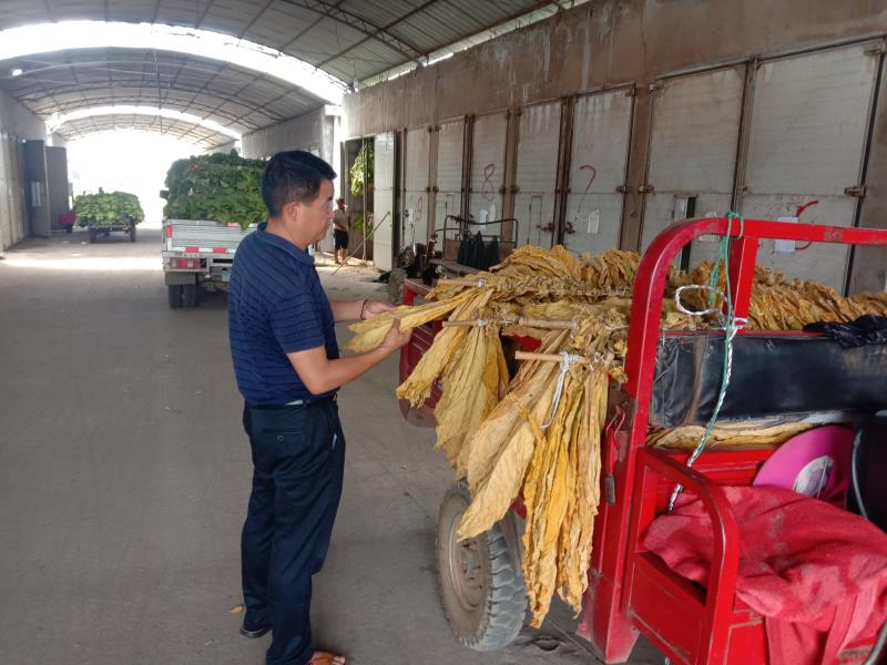 9d5175950d8d662ed03e2690d65f496