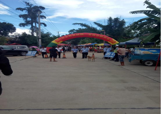 陇川县执法局双节不休息198