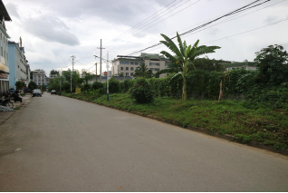 陇川县城市提质增绿工作简报619