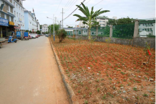 陇川县城市提质增绿工作简报620