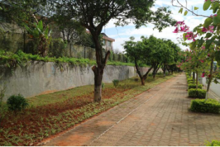 陇川县城市提质增绿工作简报600