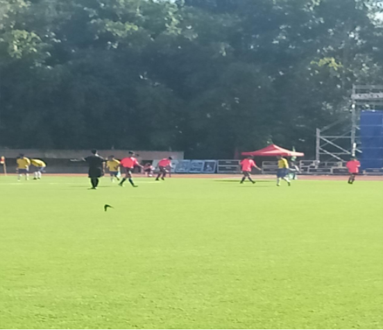 工作简报四十七期149