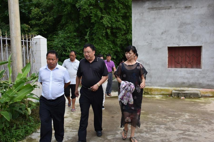 调研景罕弄巴傣社2