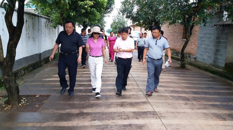 调研陇把光英村