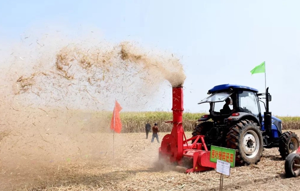 bf02aa70708241df9cbc1fa6f202d7de