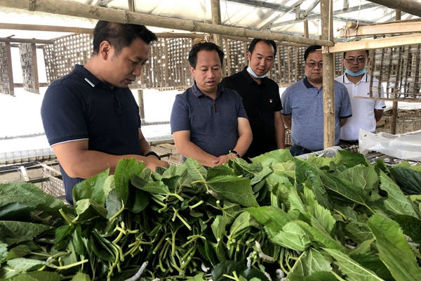 665f80e10e3913992c789edd55c07956