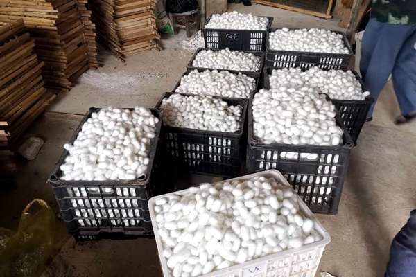 97d6afac10bd2a33a8dca0995df60095