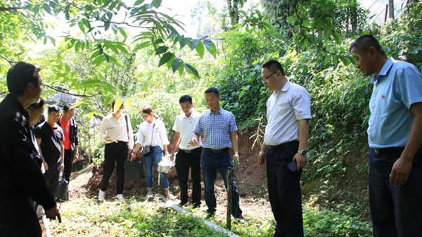 2c4e4616c45a6e638ac1c0e9473c725d