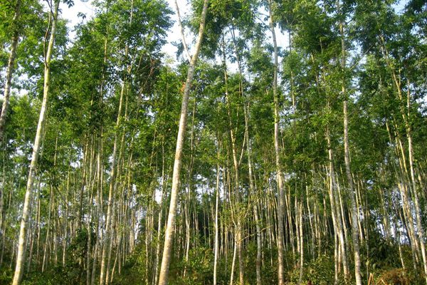 46fc44877989bc735158e38467771064