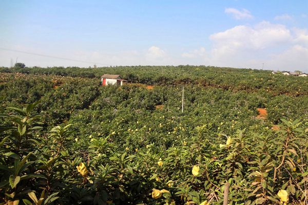 04c57d97967784ce89185dff48d9041c