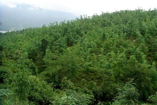 a9e829e3ae145f0f0c8159a7c14d0671