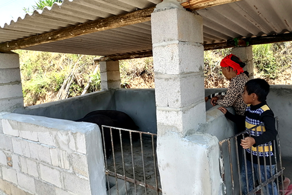 db597cd39f533fa4efcde5ded5e2f136