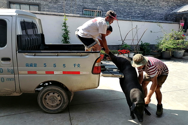 25723c2e7c91e6462f59ad2c445f193d