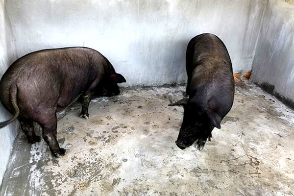 1db54cc06180d8840a2b3d3ce68f13ff