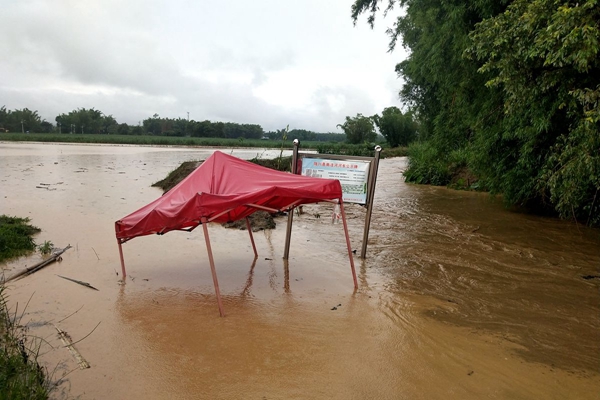 6f393bc69d69352a7bcc4e6995ba676a