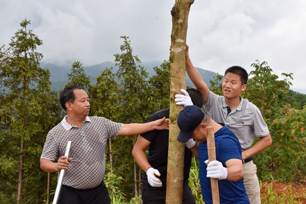 d1abdc27eddf1b5bbab2590bc901e654