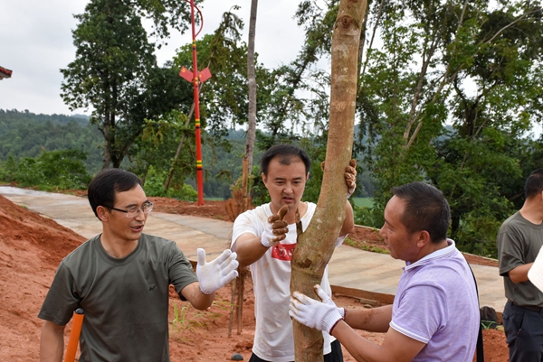 d17a6623a423b1f1619cc39736aba227