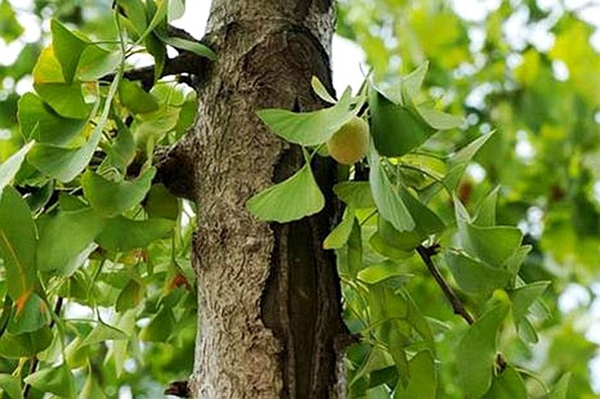 14f0d28cd2fa25f8b9d34249fa45851f