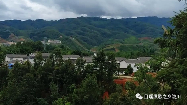 7b20a83ce3dcd80411494dd76e388b79