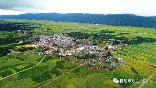 292129a1242593c3f9aa60613231ff17