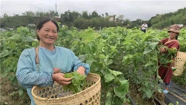 752d5ce59314019e6c425bbf2639e17f