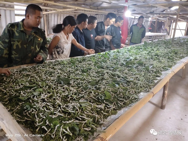 b2bacfb67a4d2f7f5aff41b6fbfc7794