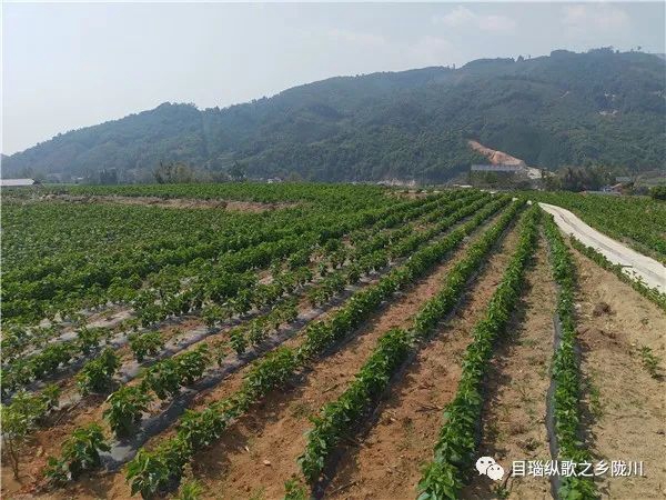 2cbbe3a6e71f27a7bd567283680b19a2