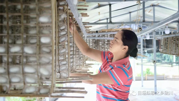 0cd9ce731d862800f40bf4438f7d0922